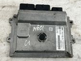 Engine control unit/module