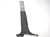 (C) pillar trim