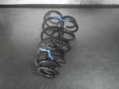 Muelle espiral trasero