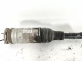Front shock absorber/damper