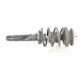 Front shock absorber/damper