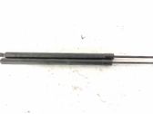 Tailgate/trunk strut/damper