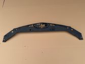 Engine bonnet/hood lock trim molding