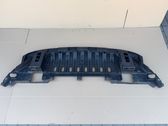Front bumper skid plate/under tray