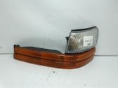 Front fender indicator light