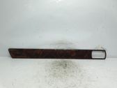 Front door trim (molding)