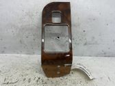 Rear door trim (molding)