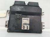 Calculateur moteur ECU