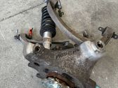 Rear wheel hub spindle/knuckle