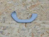 Front interior roof grab handle