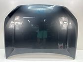 Engine bonnet/hood
