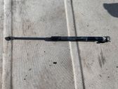 Tailgate/trunk strut/damper