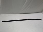 Front door glass trim molding