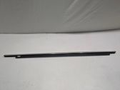 Rear door glass trim molding