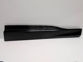 Front door trim (molding)