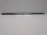 Door glass trim