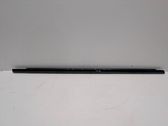 Rear door glass trim molding