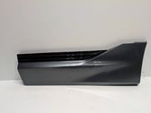 Rear door trim (molding)