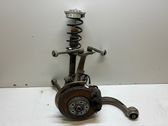 Front wheel hub spindle knuckle