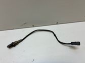 Sonde lambda