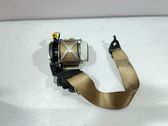 Rear seatbelt