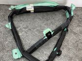 Roof airbag