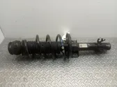 Front shock absorber/damper