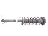 Rear shock absorber with coil spring