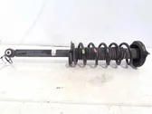 Rear shock absorber with coil spring