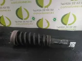 Rear shock absorber with coil spring