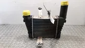 Radiador intercooler