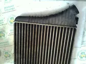 Intercooler radiator