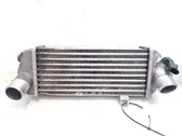 Radiatore intercooler