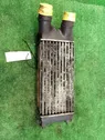 Intercooler radiator