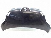 Motorhaube