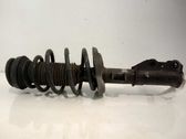 Amortiguador delantero con muelle espiral