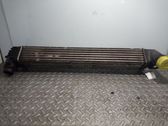 Radiador intercooler