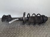 Amortiguador delantero con muelle espiral