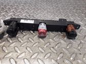 Botón interruptor de luz de peligro