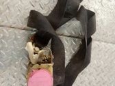 Cinturón trasero