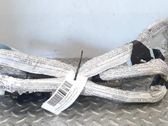 Airbag de la puerta delantera