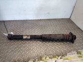 Stoßdämpfer hinten