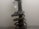 Amortiguador delantero con muelle espiral