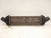 Radiador intercooler
