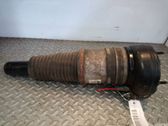 Amortiguador delantero con muelle espiral