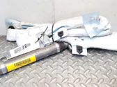 Airbag de la puerta delantera