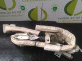 Türairbag vorne