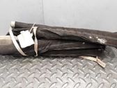 Airbag de la puerta delantera