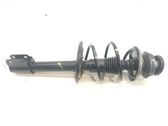 Amortiguador delantero con muelle espiral