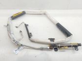 Airbag porte avant